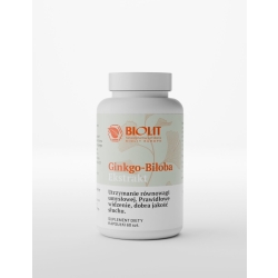 Ginkgo Biloba Ekstrakt